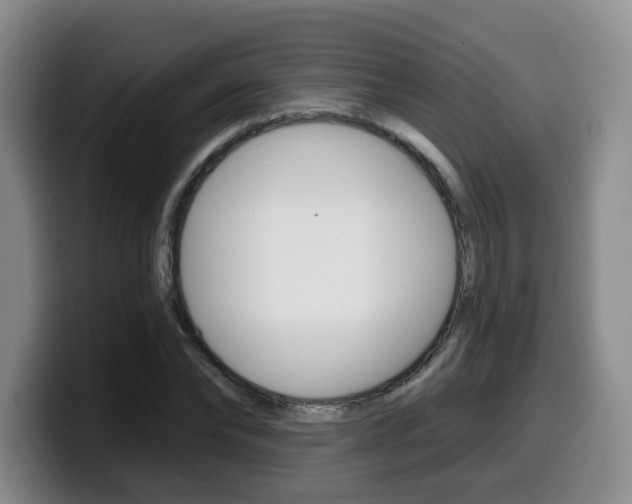 X0000099450878200805090725