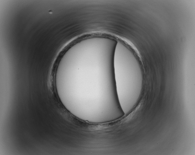 X0000099450879200805090725