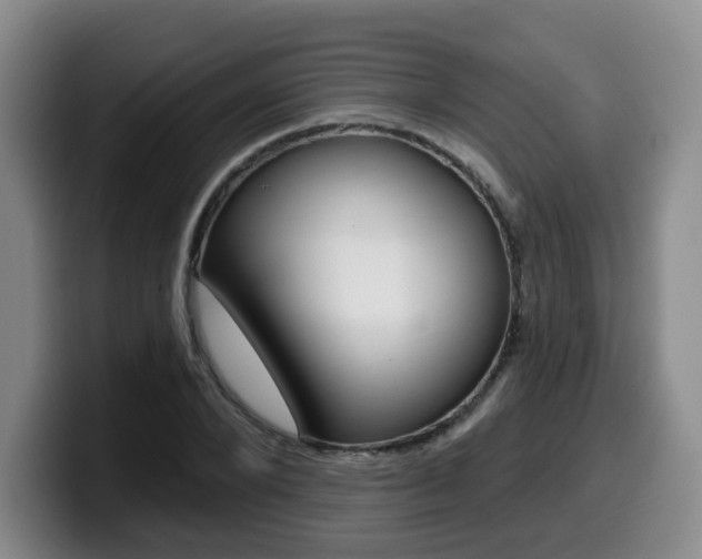 X0000099450880200805090725