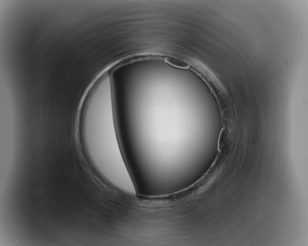 X0000099450884200805090725