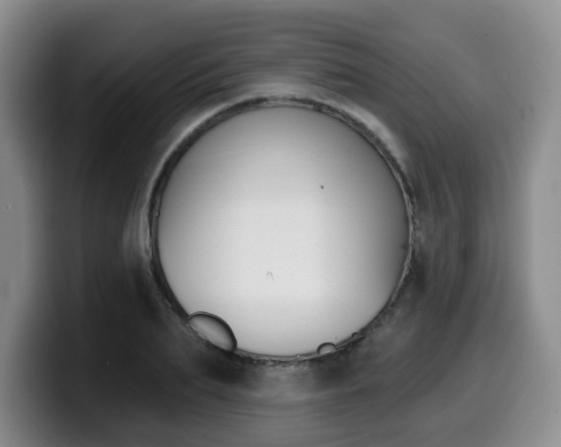X0000099450887200805090725