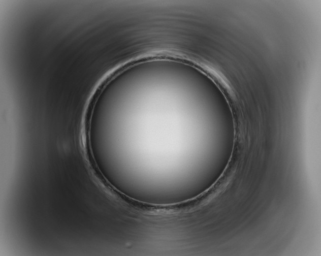 X0000099450888200805090725