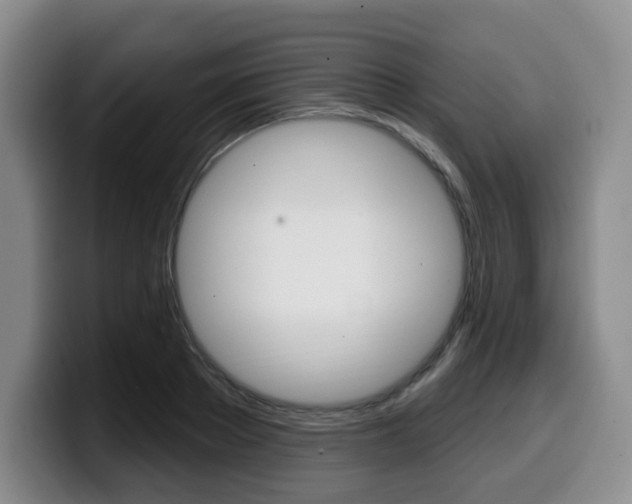 X0000099450889200805090725
