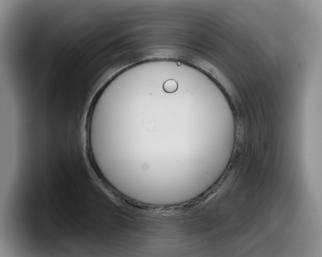 X0000099450890200805090725