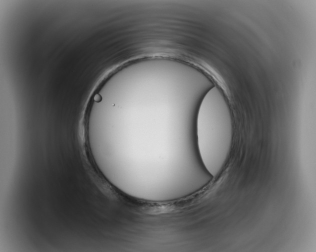X0000099450891200805090725