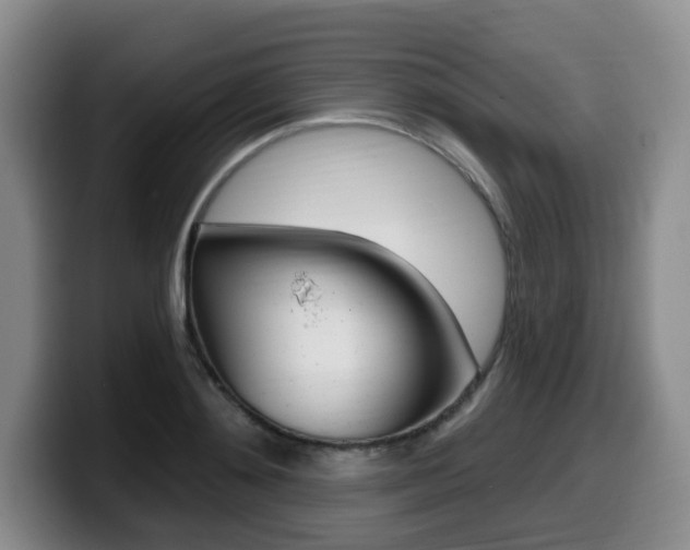 X0000099450892200805090725