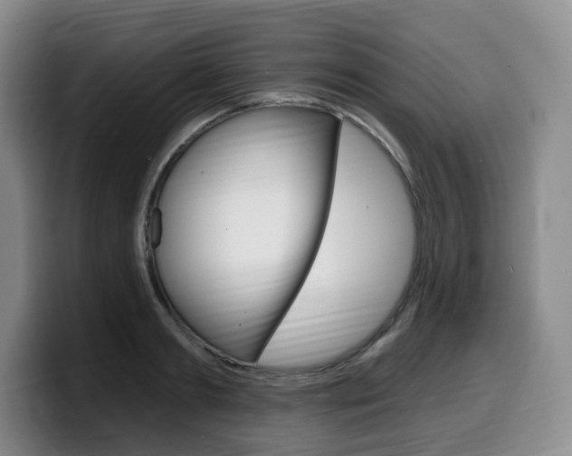 X0000099450893200805090725