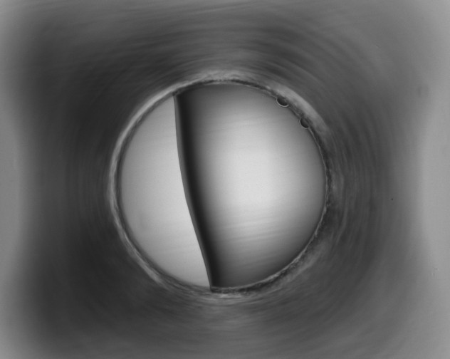 X0000099450894200805090725