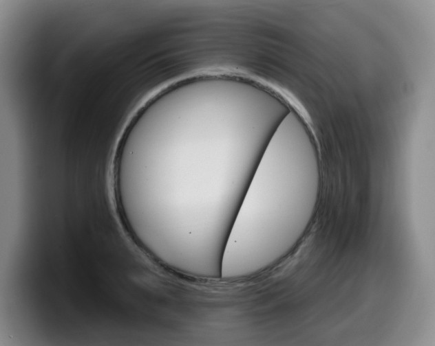 X0000099450895200805090725