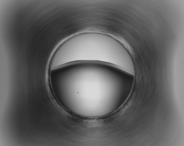 X0000099450896200805090725