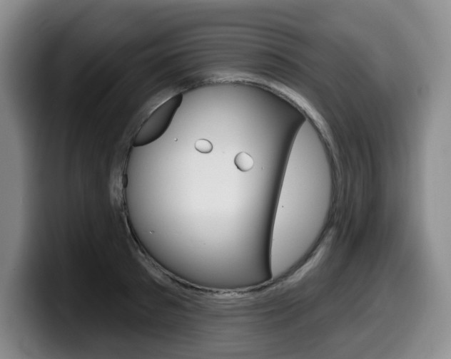 X0000099450897200805090725