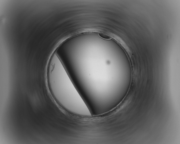 X0000099450898200805090725