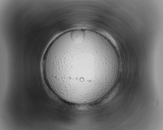 X0000099450899200805090725