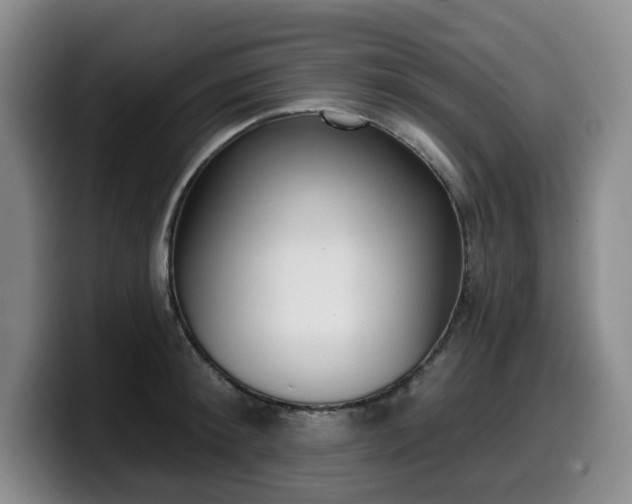 X0000099450900200805090725