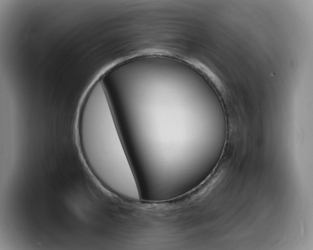 X0000099450902200805090725
