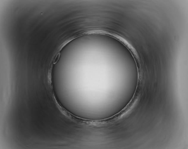 X0000099450905200805090725