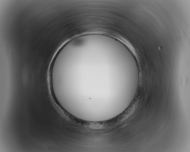 X0000099450907200805090725
