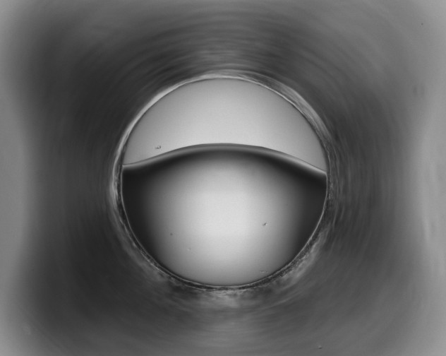 X0000099450908200805090725