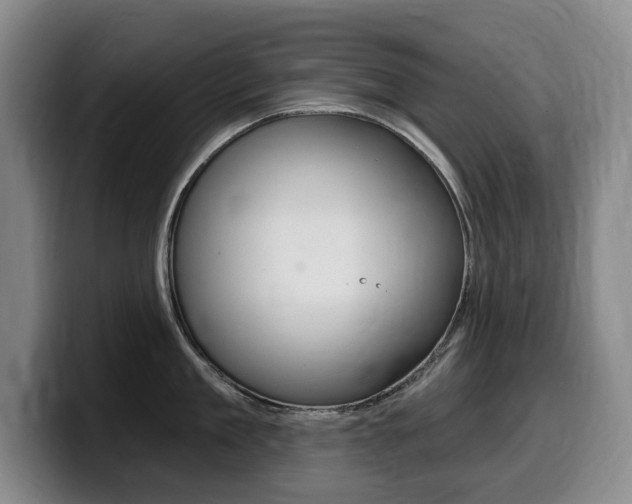 X0000099450909200805090725