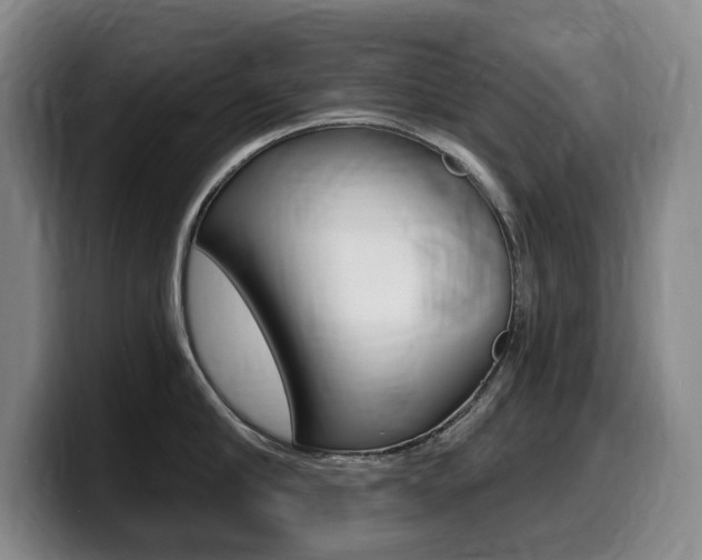 X0000099450910200805090725