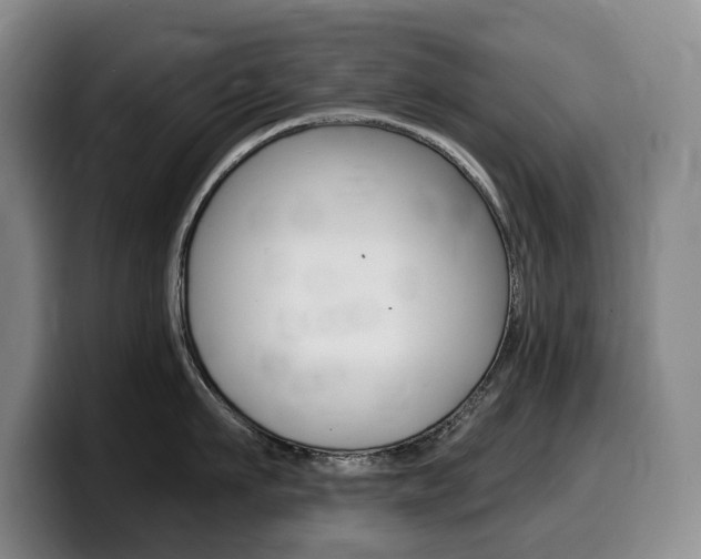 X0000099450911200805090725
