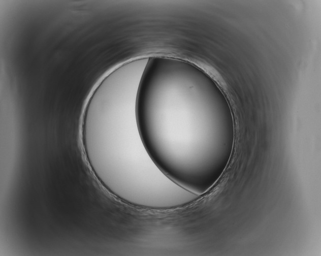 X0000099450912200805090725