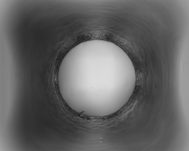 X0000099450913200805090724