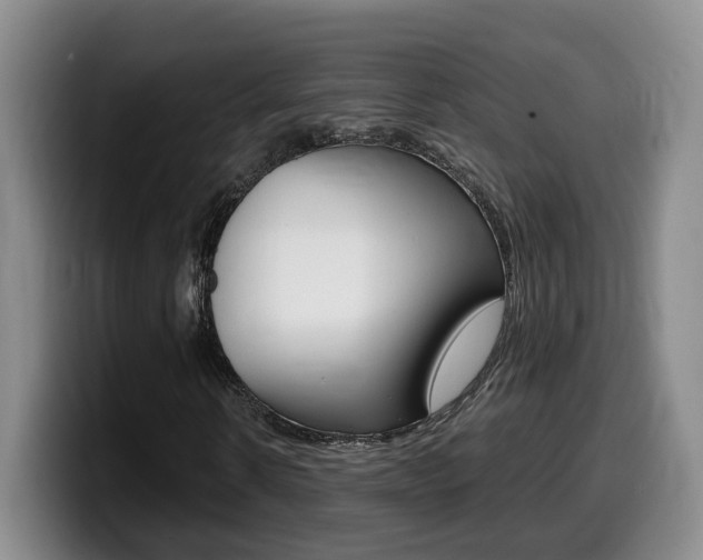 X0000099450914200805090724