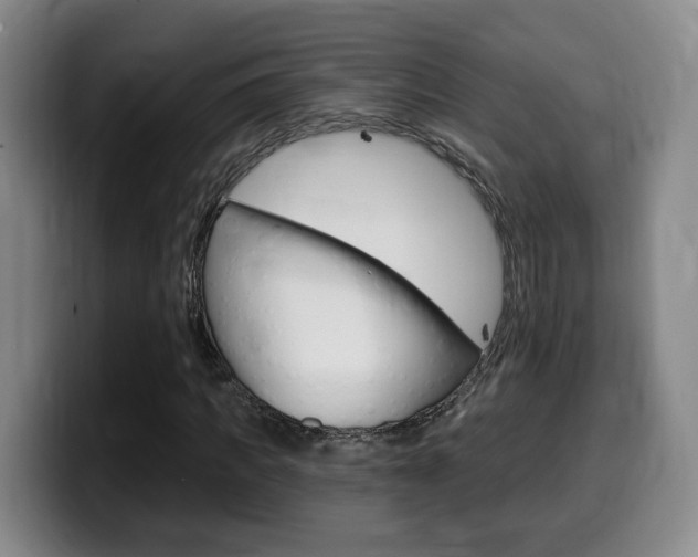 X0000099450917200805090724