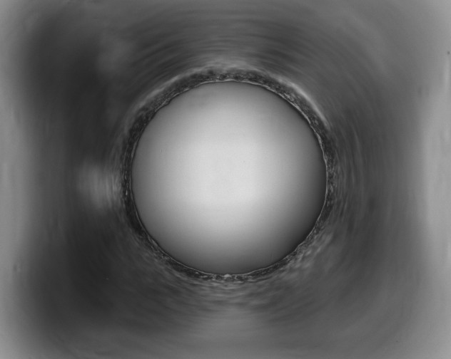 X0000099450919200805090724