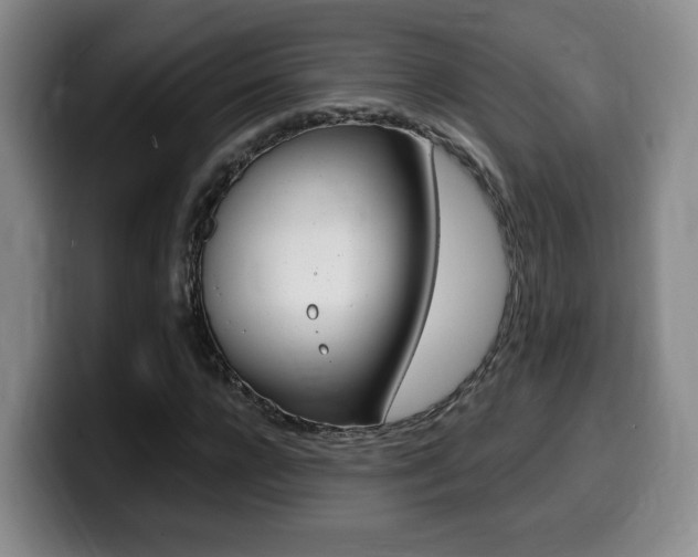 X0000099450920200805090724