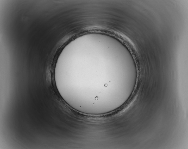 X0000099450921200805090724