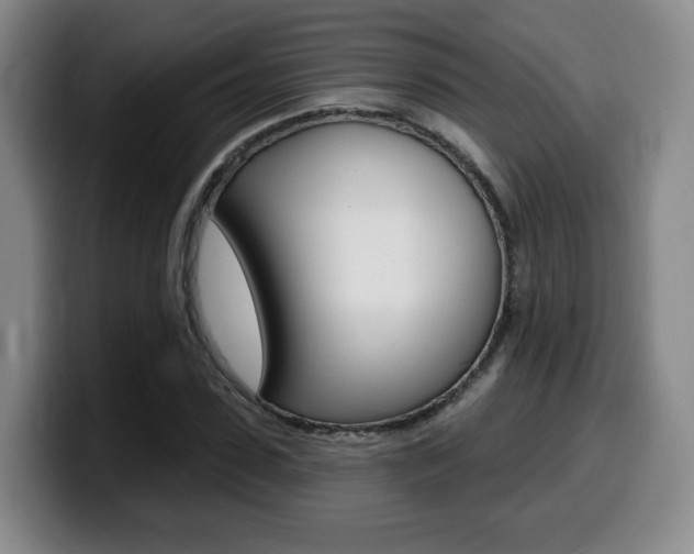 X0000099450923200805090724