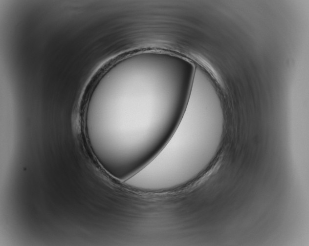 X0000099450924200805090724
