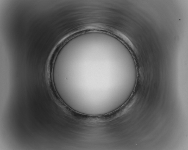X0000099450931200805090724