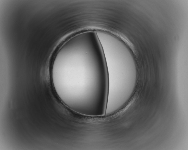 X0000099450934200805090724