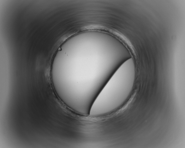 X0000099450937200805090724
