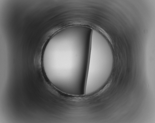 X0000099450938200805090724