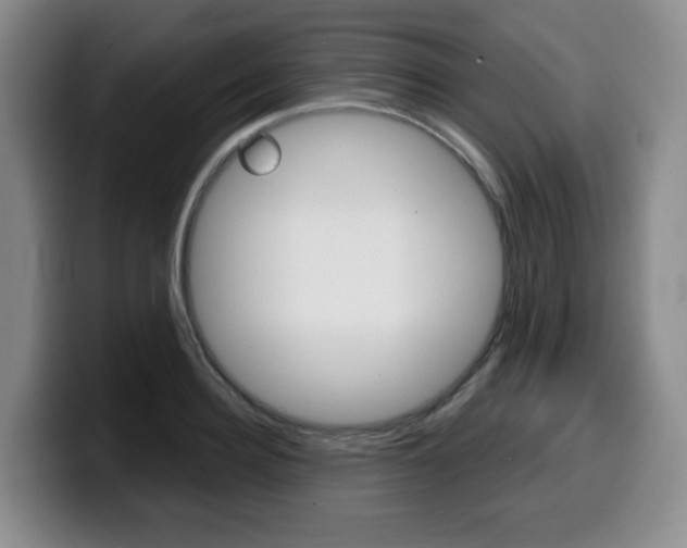 X0000099450940200805090724