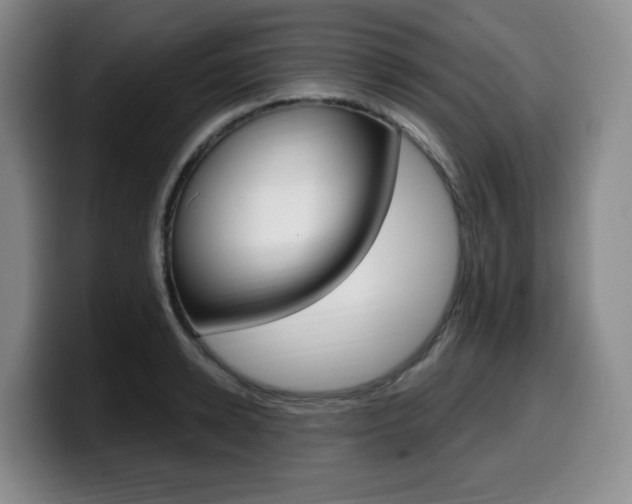 X0000099450942200805090725