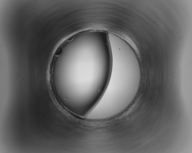 X0000099450944200805090725
