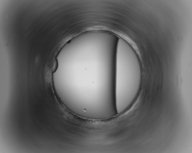 X0000099450945200805090725
