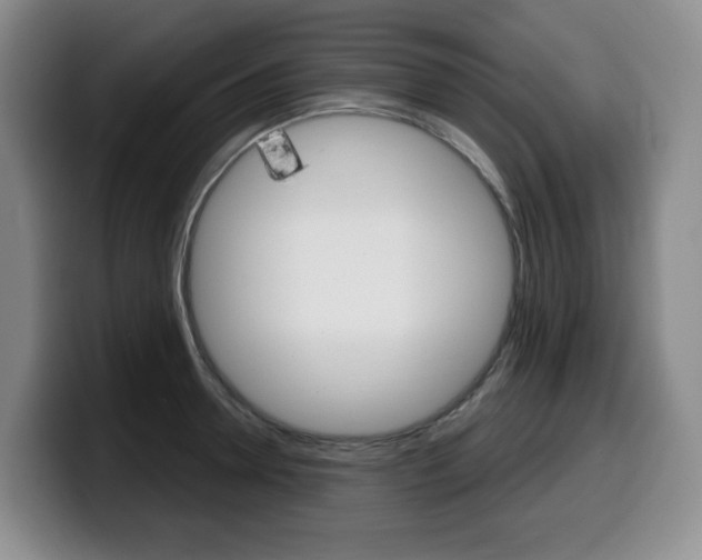 X0000099450946200805090725