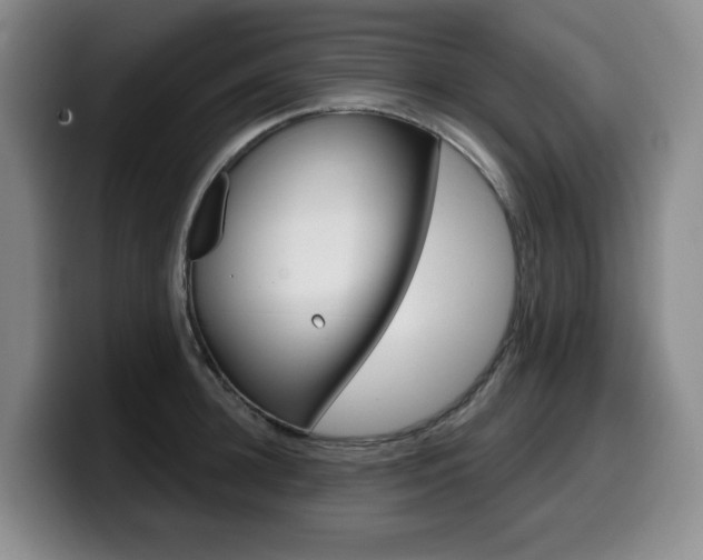 X0000099450948200805090725