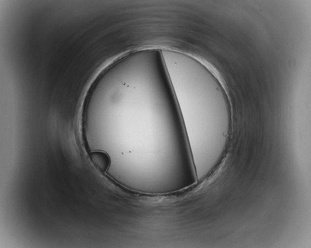 X0000099450949200805090725