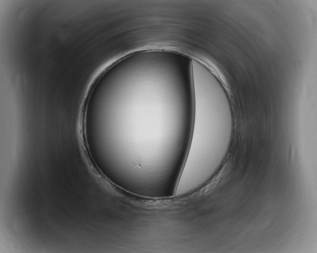X0000099450952200805090725