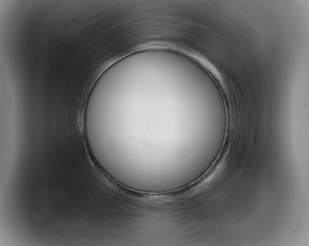 X0000099450953200805090725