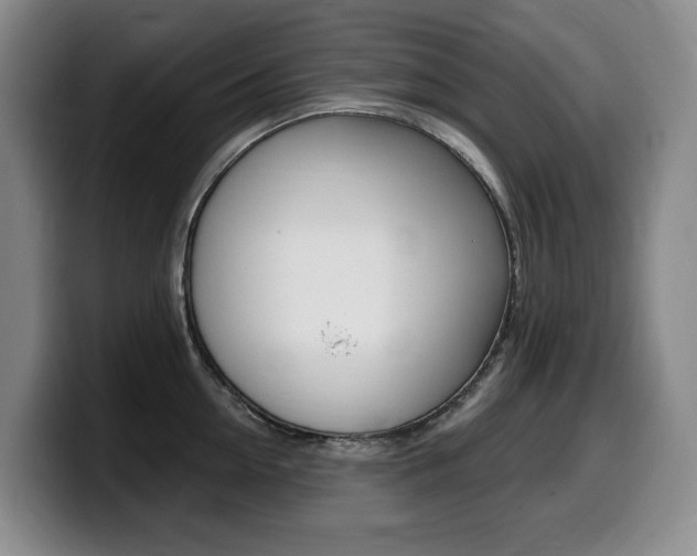 X0000099450954200805090725