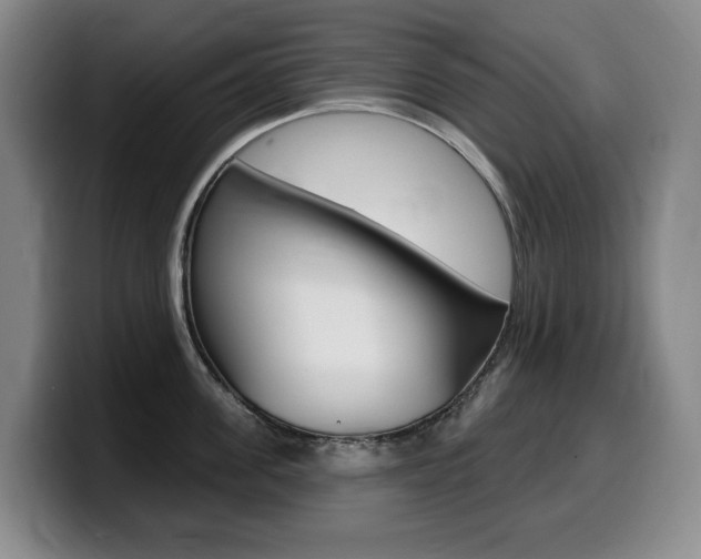 X0000099450955200805090725