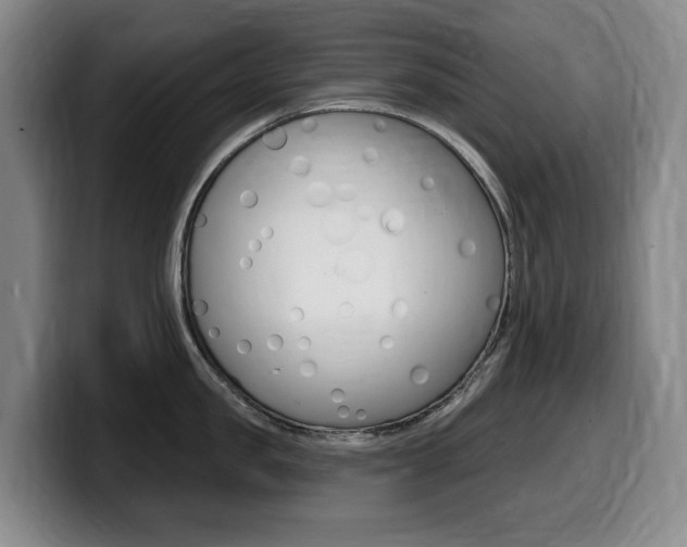 X0000099450957200805090725